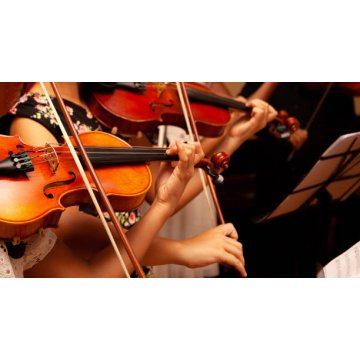 Cours double : violon, alto et violoncelle
